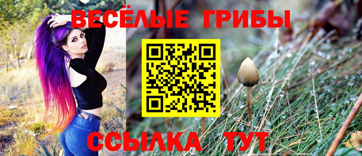Псилоцибиновые грибы MAGIC MUSHROOMS  Вход с VPN  Псилоцибиновые грибы Magic Shrooms  как найти закладки  Кинель 